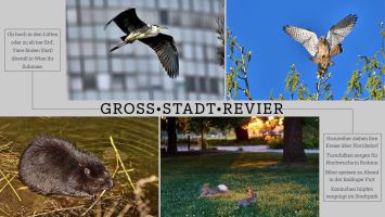 Angenommen Otto Maderdonner   Natur In Der Stadt.001